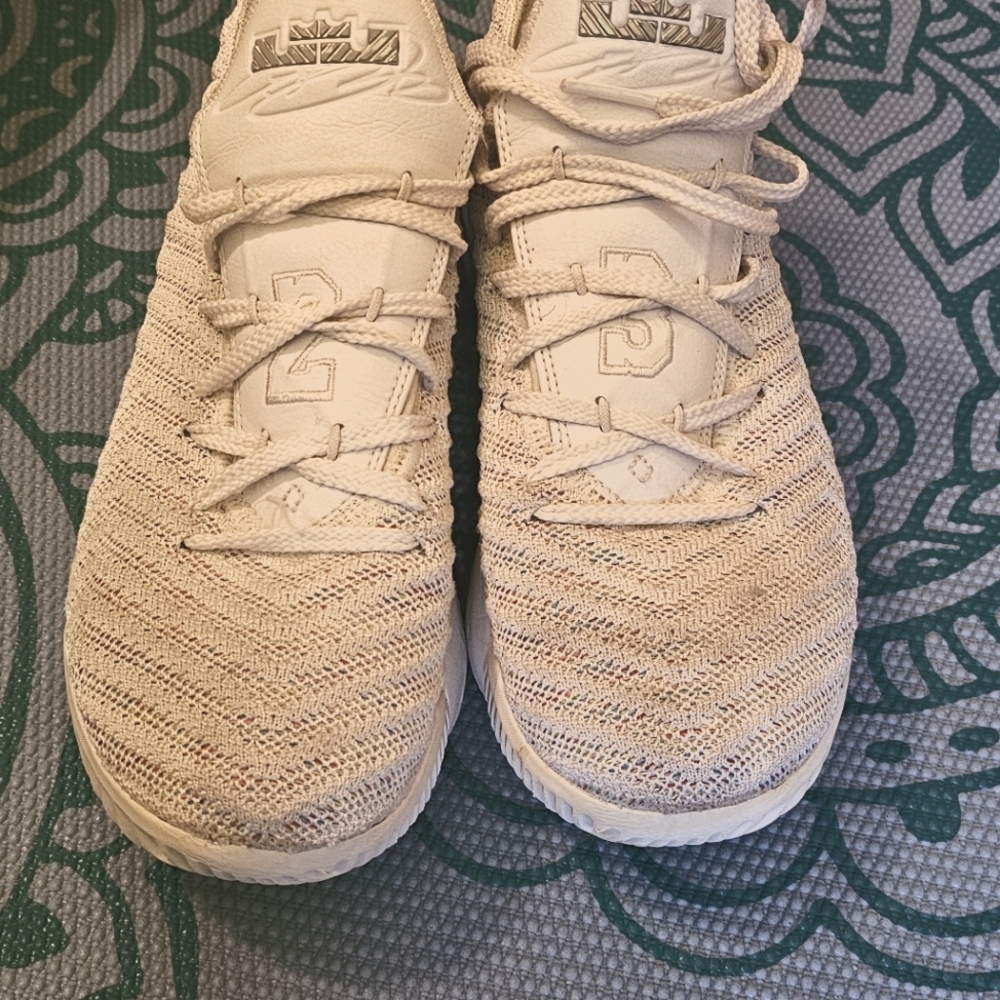 LeBron James Sneakers